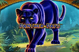 Panther Pays - STAYSLOT168