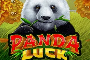 Panda Luck - STAYSLOT168