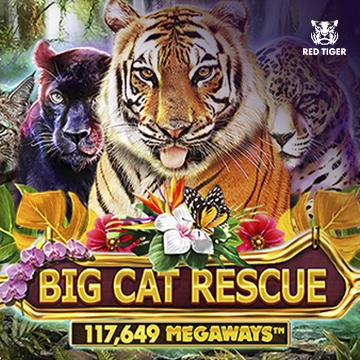 Big Cat Rescue Megaways - STAYSLOT168