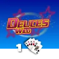 Deuces Wild 1 Hand - STAYSLOT168