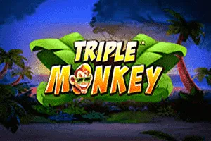 Triple Monkey - STAYSLOT168