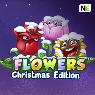 Flowers Christmas Edition - STAYSLOT168