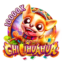 Facai : CHILIHUAHUA - STAYSLOT168
