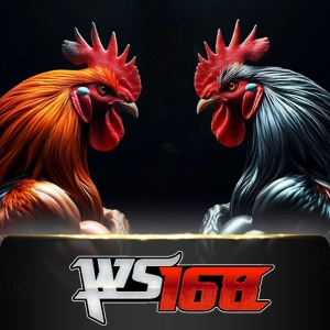 Ws168 Sabung - STAYSLOT168