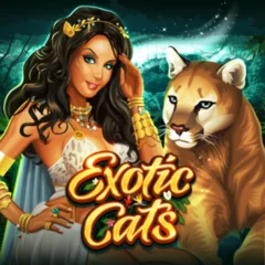 Exotic Cats - STAYSLOT168