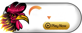 GA28 - STAYSLOT168