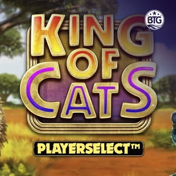 King of Cats - STAYSLOT168