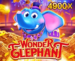 Wonder Elephant - STAYSLOT168
