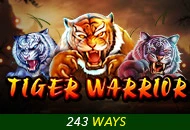 Spadegaming : Tiger Warrior - STAYSLOT168