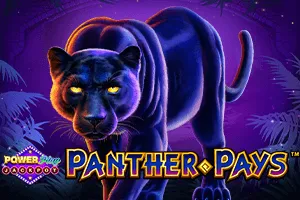 Panther Pays Power Play Jackpot - STAYSLOT168