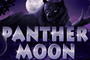 Panther Moon - STAYSLOT168