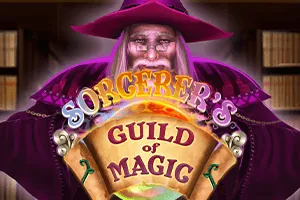 Sorcerers Guild of Magic - STAYSLOT168