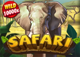 Safari - STAYSLOT168