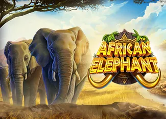 Pragmatic : African Elephant - STAYSLOT168